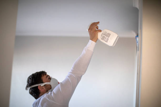 Best Localized Mold Remediation (e.g., coastal areas, humid climates) in Wildewood, MD