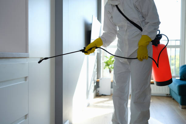 Best Mold Remediation for Specific Building Types in Wildewood, MD